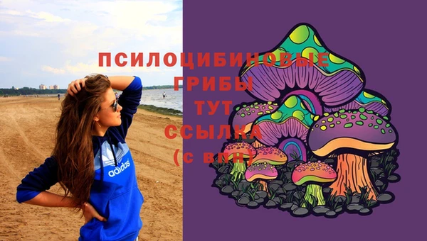 бутират Алзамай